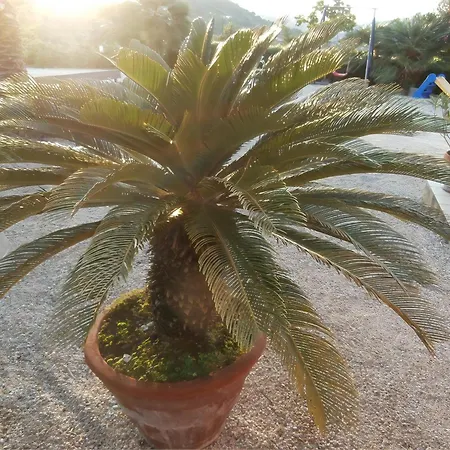 In Mit Schoenem Garten Apartment *